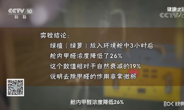 綠植能除甲醛嗎？