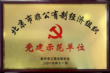 中共黨建示范單位